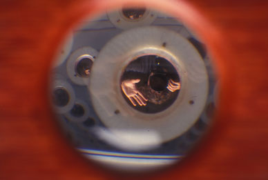 Seeing is Believing, by Tucker Houlihan